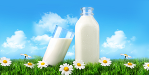 Why Organic Milk Calcium?