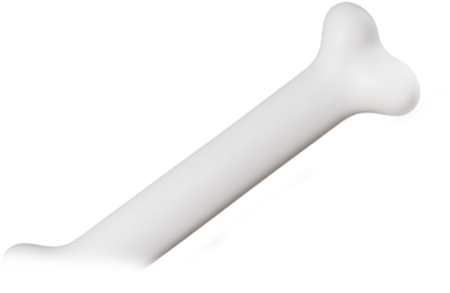 Bones